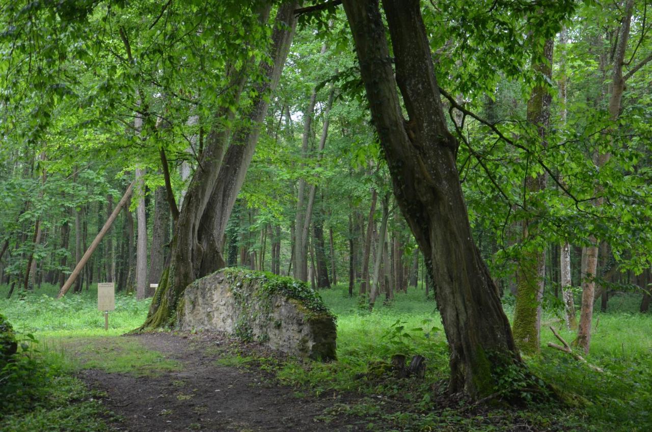 ホテル Domaine De Fremigny Bouray-sur-Juine エクステリア 写真